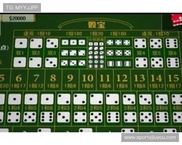 最新骰宝赔率分析指南,助你理解不同投注方式的风险与收益差异